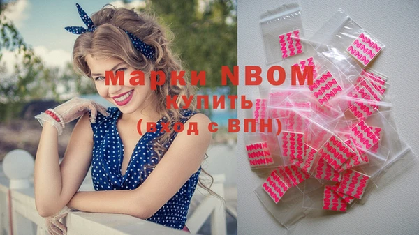 индика Армянск