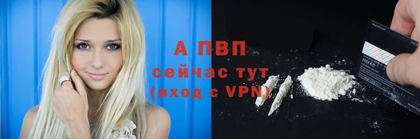 индика Армянск
