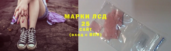индика Армянск