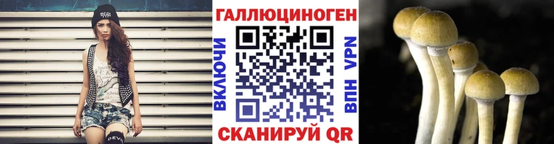 Псилоцибиновые грибы Cubensis  дарнет шоп  Кунгур 