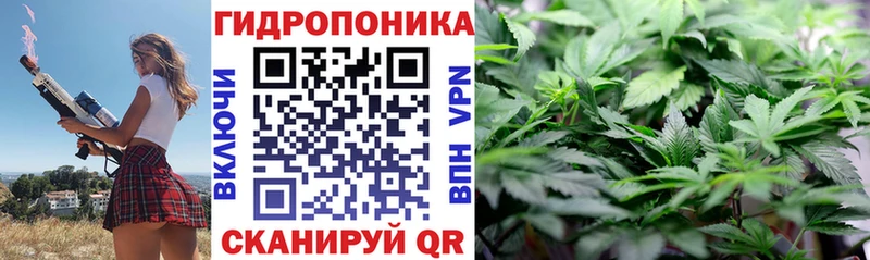 закладка  Кунгур  Шишки марихуана Bruce Banner 